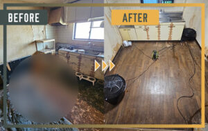 茨城県のアパートでのペット多頭飼い現場特殊清掃