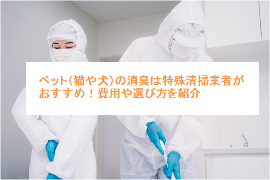ペット（猫や犬）の消臭は特殊清掃業者がおすすめ！費用や選び方を紹介